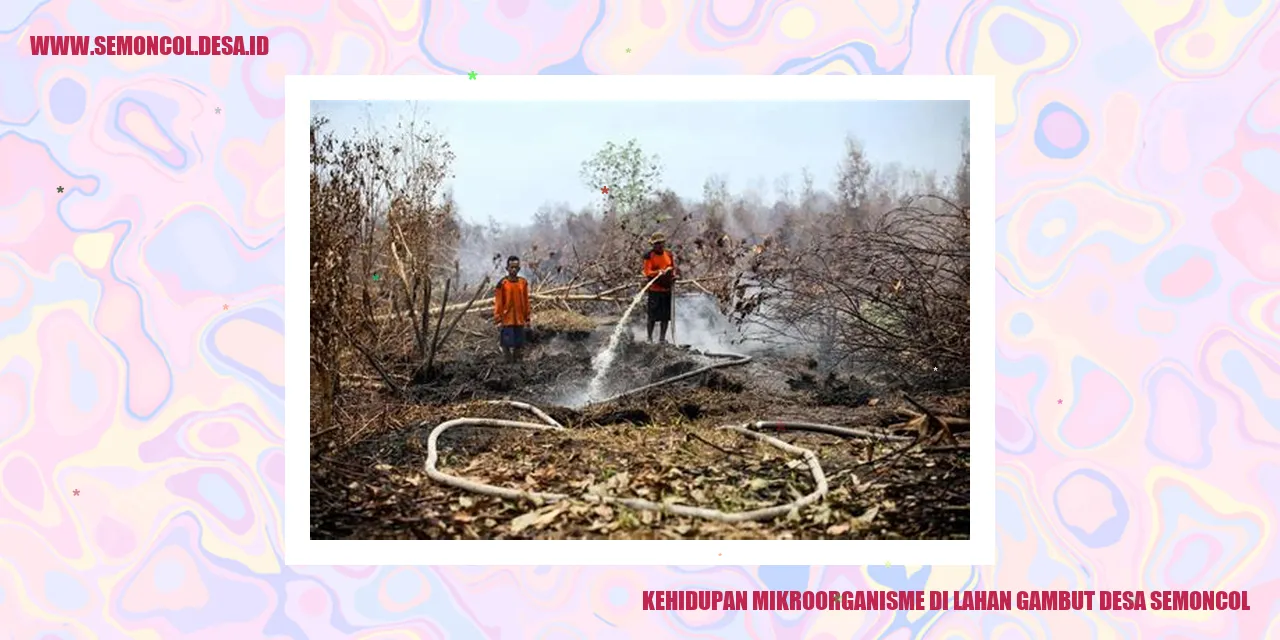 Kehidupan mikroorganisme di lahan gambut Desa Semoncol