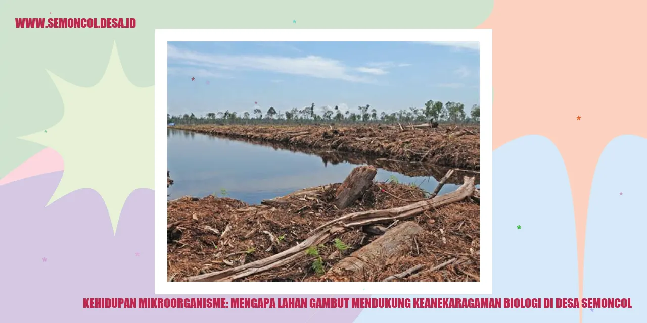 Kehidupan Mikroorganisme: Mengapa Lahan Gambut Mendukung Keanekaragaman Biologi di Desa Semoncol