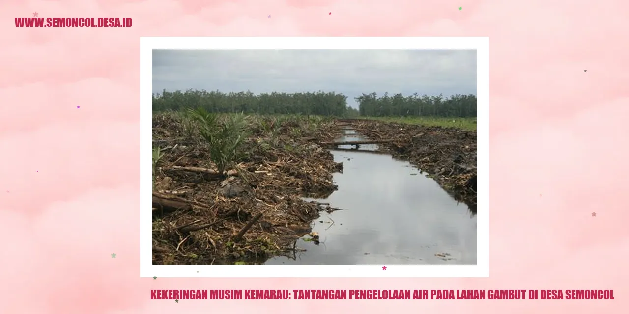 Kekeringan Musim Kemarau: Tantangan Pengelolaan Air pada Lahan Gambut di Desa Semoncol