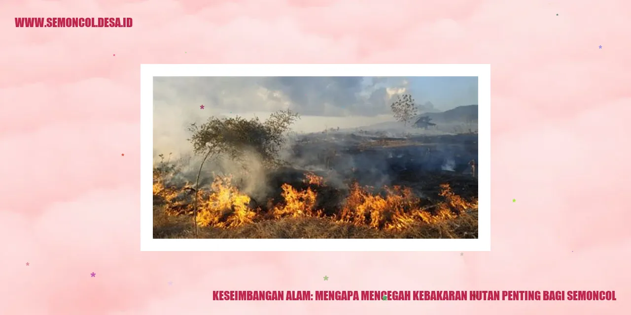 Keseimbangan Alam: Mengapa Mencegah Kebakaran Hutan Penting bagi Semoncol