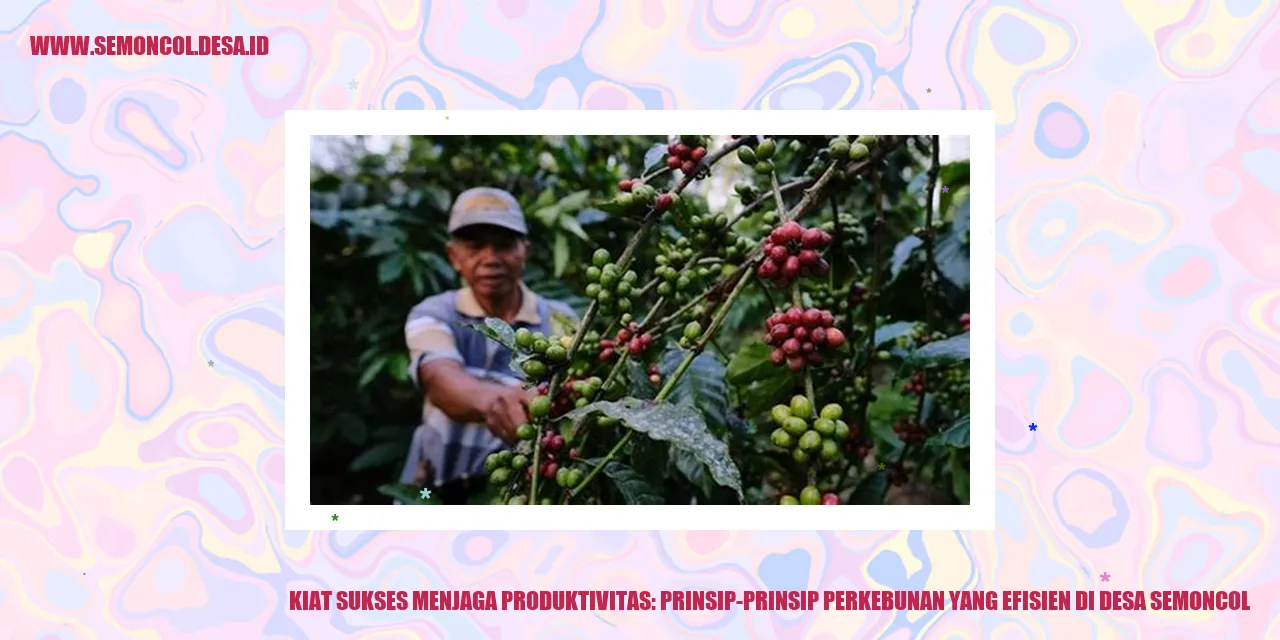 Kiat Sukses Menjaga Produktivitas: Prinsip-Prinsip Perkebunan yang Efisien di Desa Semoncol