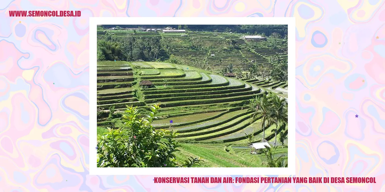 Konservasi Tanah dan Air: Fondasi Pertanian yang Baik di Desa Semoncol