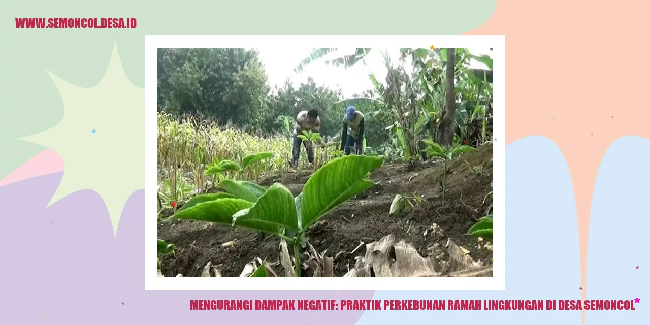 Mengurangi Dampak Negatif: Praktik Perkebunan Ramah Lingkungan di Desa Semoncol