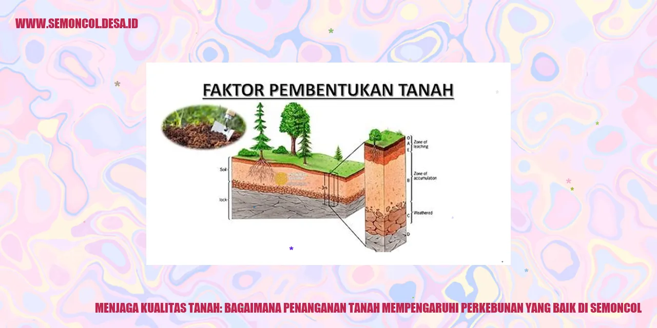 Menjaga Kualitas Tanah: Bagaimana Penanganan Tanah Mempengaruhi Perkebunan yang Baik di Semoncol