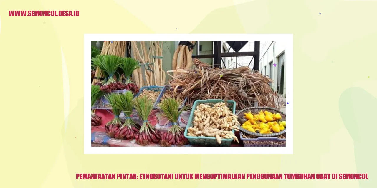 Pemanfaatan Pintar: Etnobotani untuk Mengoptimalkan Penggunaan Tumbuhan Obat di Semoncol