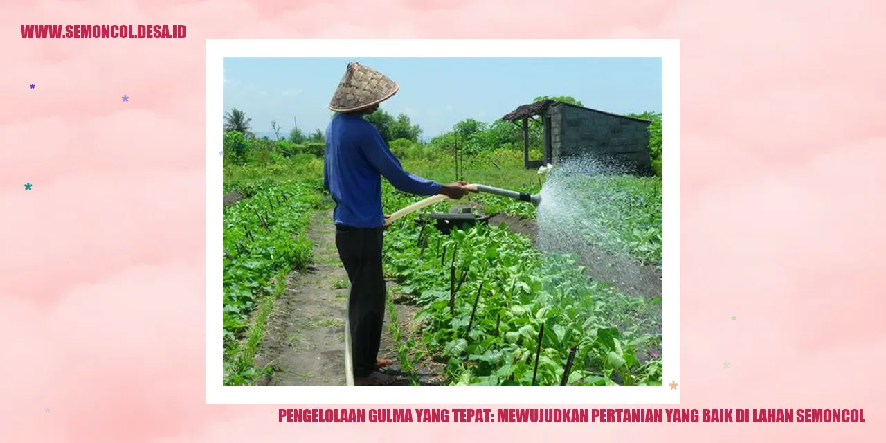 Hebat! Rahasia Mengelola Gulma agar Pertanian di Lahan Semoncol Berkembang!