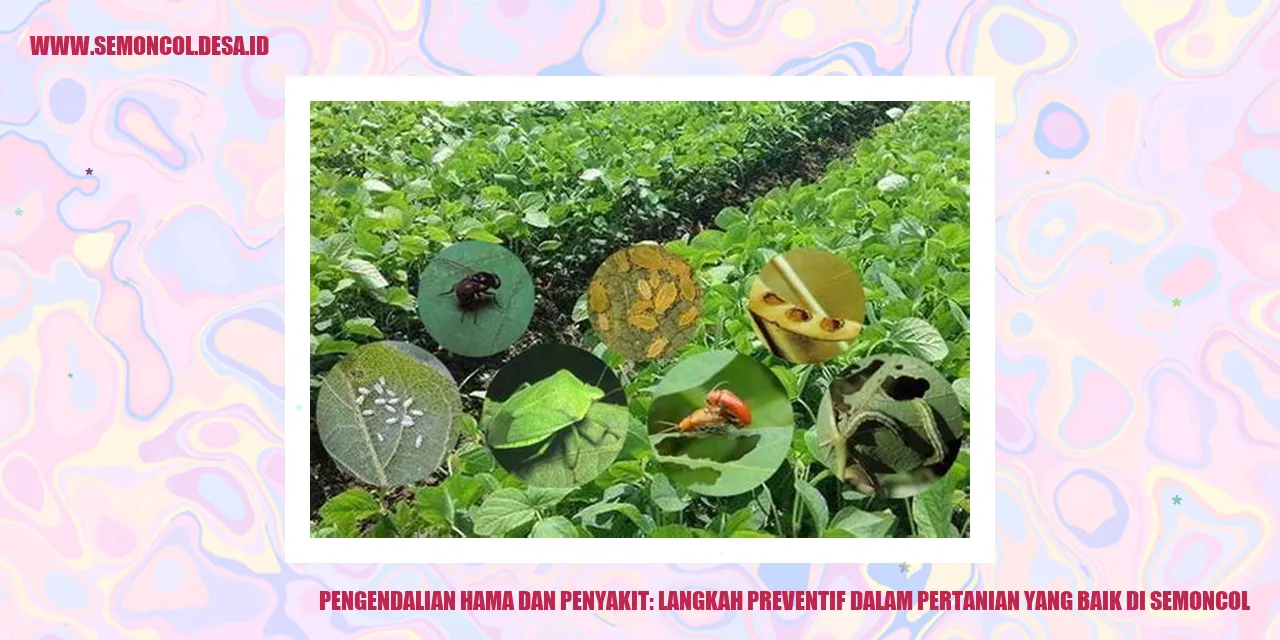 Pengendalian Hama dan Penyakit: Langkah Preventif dalam Pertanian yang Baik di Semoncol