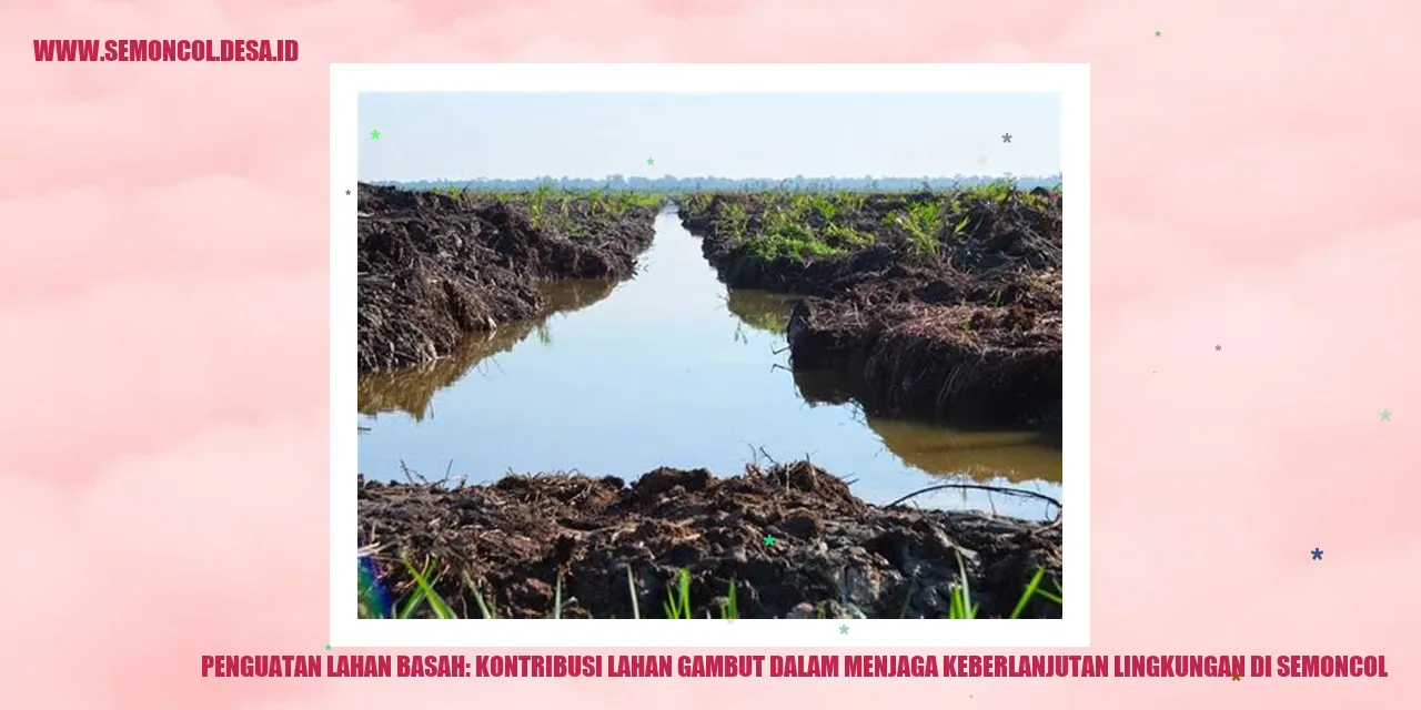 Penguatan Lahan Basah: Kontribusi Lahan Gambut dalam Menjaga Keberlanjutan Lingkungan di Semoncol