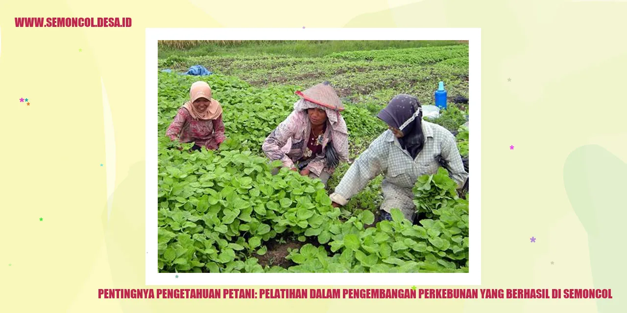 Pentingnya Pengetahuan Petani: Pelatihan dalam Pengembangan Perkebunan yang Berhasil di Semoncol