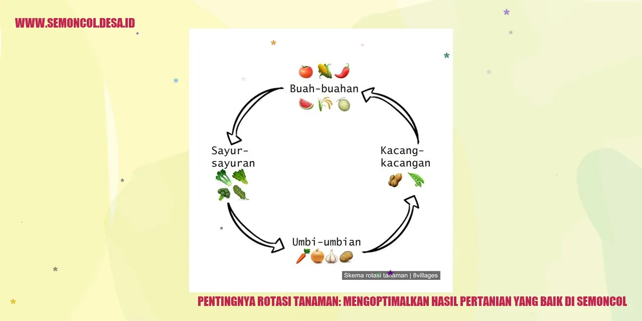 Pentingnya Rotasi Tanaman: Mengoptimalkan Hasil Pertanian yang Baik di Semoncol