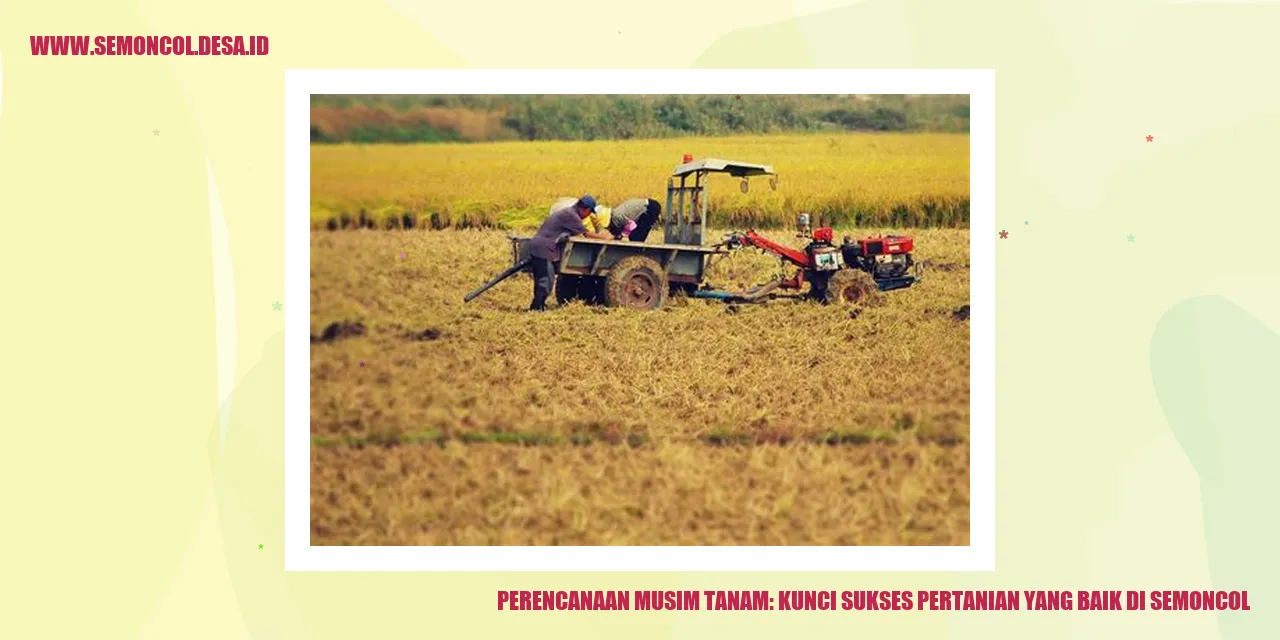 Perencanaan Musim Tanam: Kunci Sukses Pertanian yang Baik di Semoncol