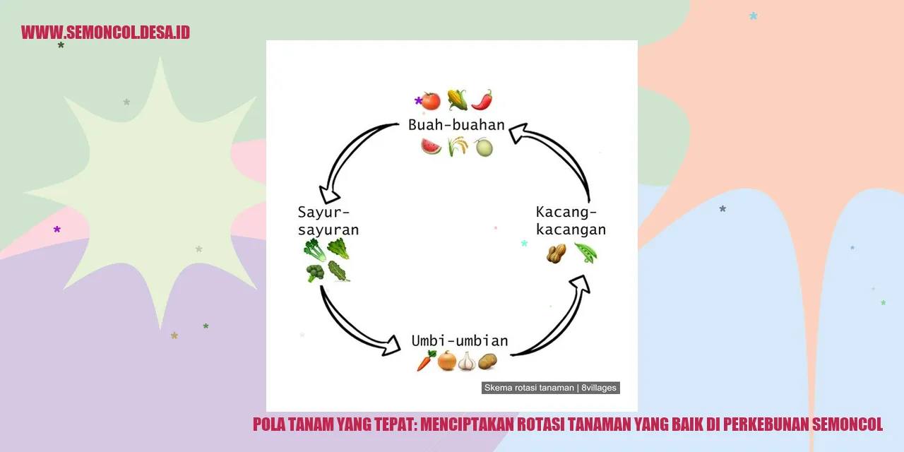 Pola Tanam yang Tepat: Menciptakan Rotasi Tanaman yang Baik di Perkebunan Semoncol