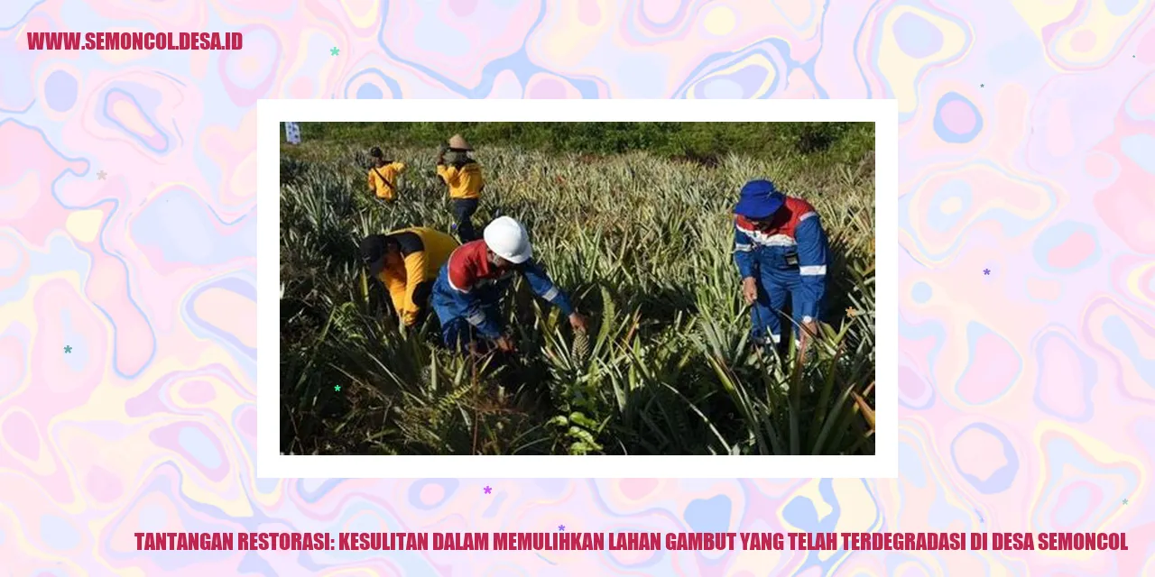 Tantangan Restorasi: Kesulitan dalam Memulihkan Lahan Gambut yang Telah Terdegradasi di Desa Semoncol