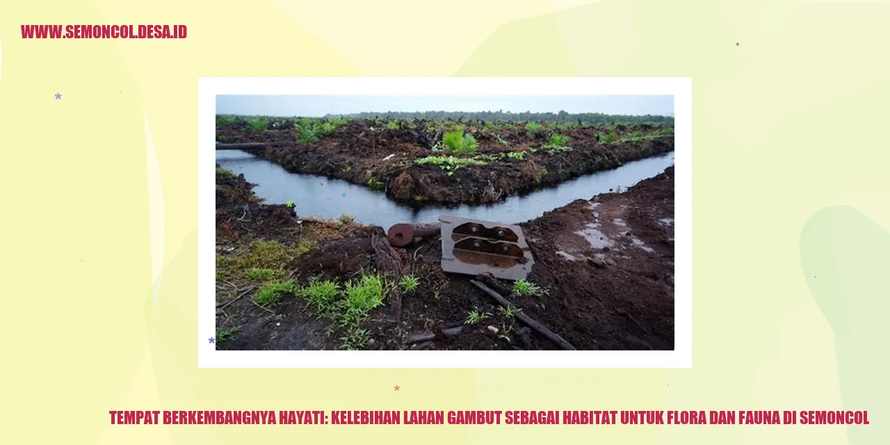 Tempat Berkembangnya Hayati: Kelebihan Lahan Gambut sebagai Habitat Untuk Flora dan Fauna di Semoncol